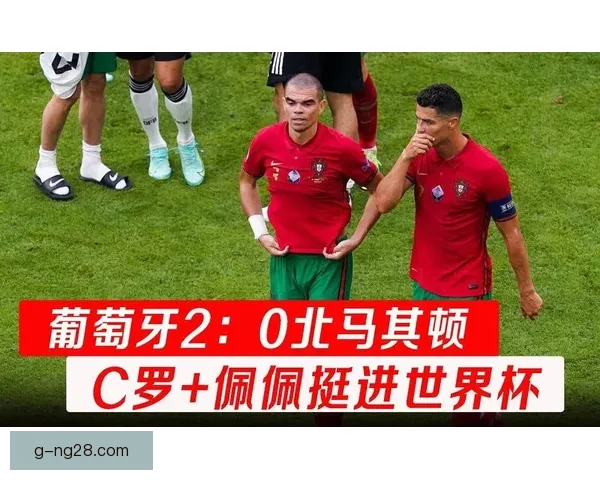 葡萄牙附加赛力克北马其顿成功晋级世界杯下一轮